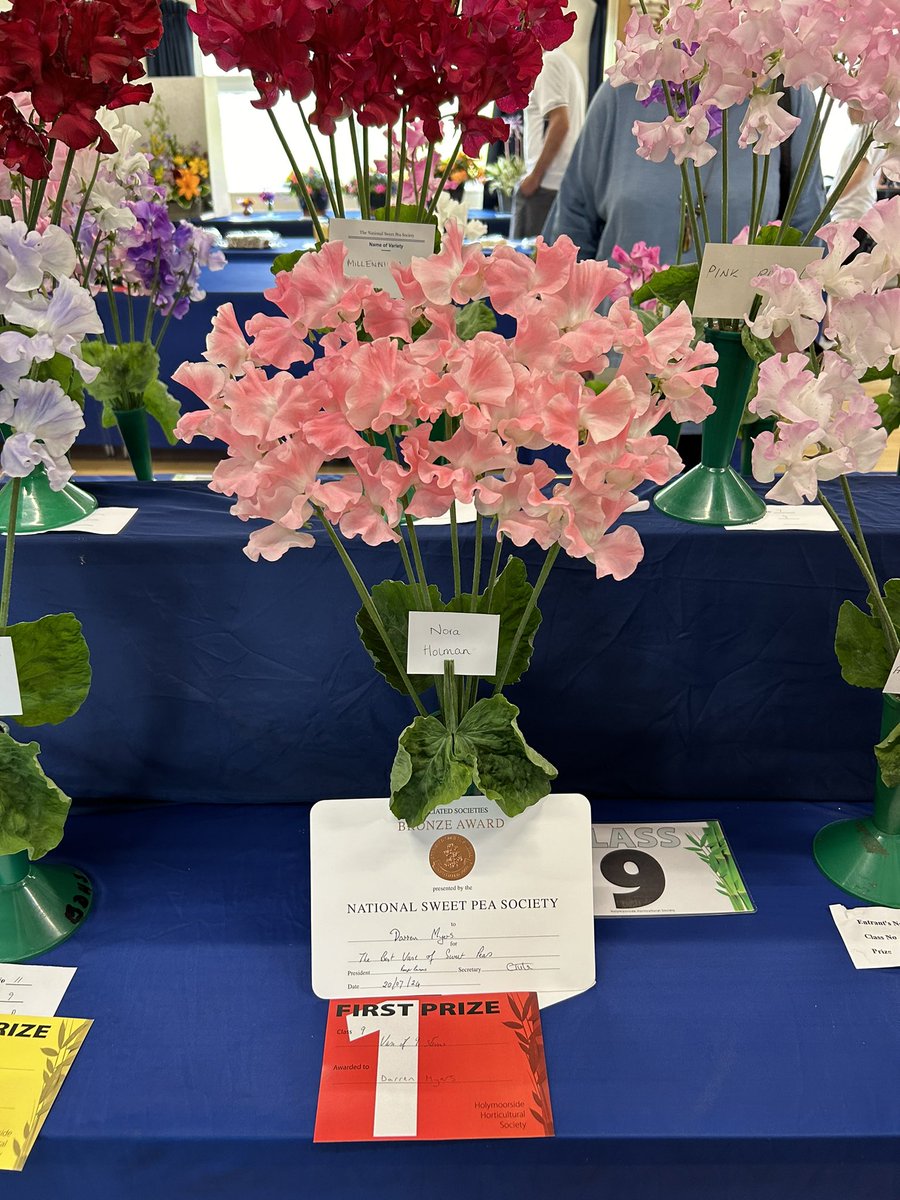 Darren Myers tweet media