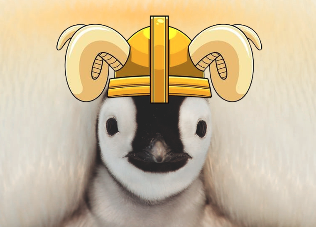 paddy_coin's tweet photo. Paddy the baddy

Check out the $Paddy song on the website: https://t.co/loYyX0eNvY https://t.co/Vtq9ZDT3xS