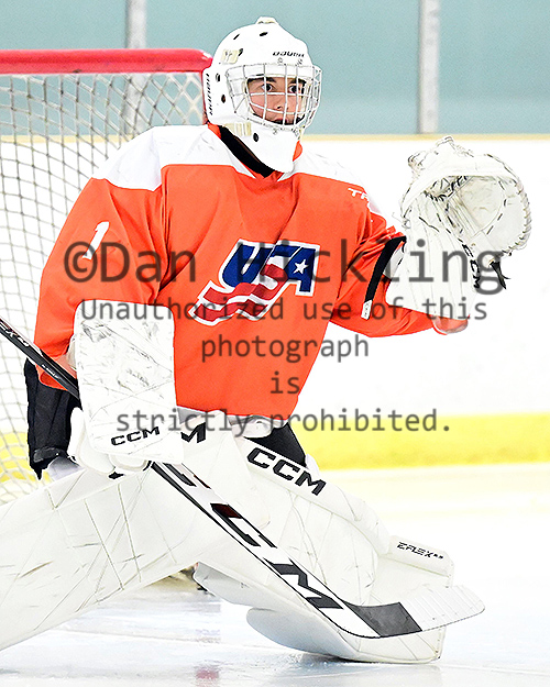 DanHickling's tweet photo. New pics of #USAHPDC #TeamOrange 09s now up on their @eliteprospects pages ... Also coming to select @_Neutral_Zone pages ... from @usahockey #Select15s in Buffalo ... Check 'em out! @mhick1953 https://t.co/0oWCupyTSY