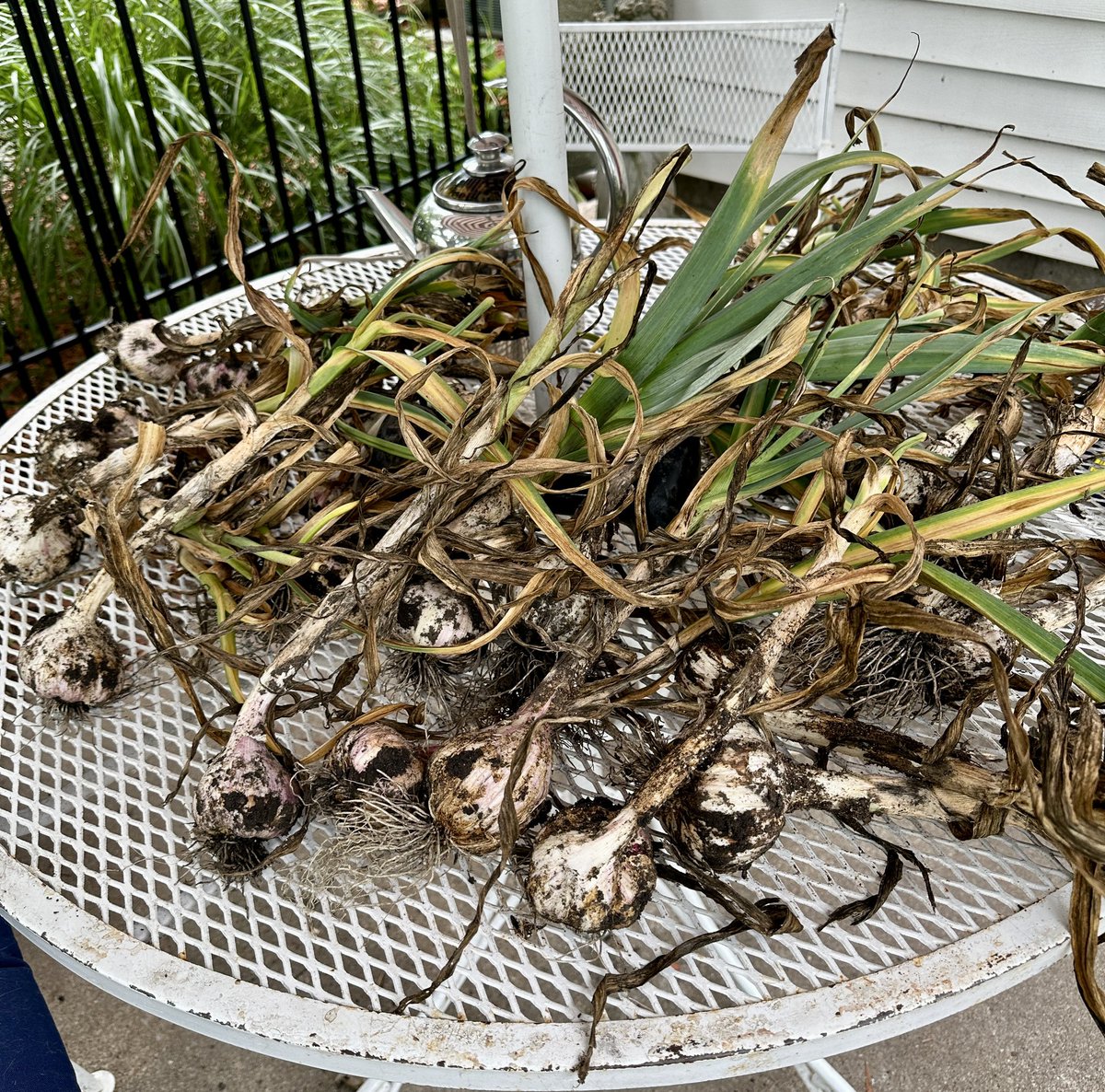 #AlphabetChallenge #WeekCisforcircles