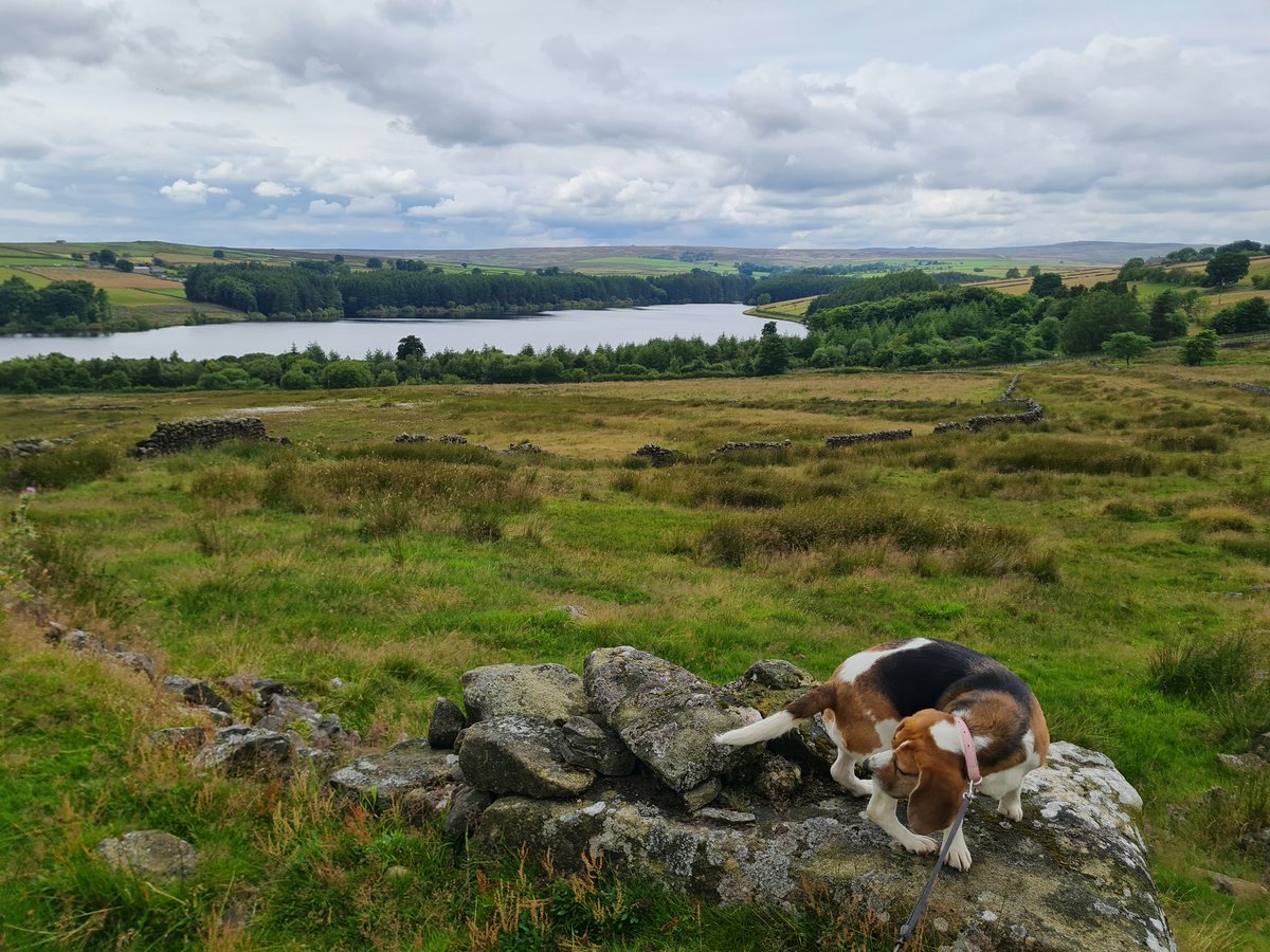 When you're posing for a photo but a surprise fart comes out 😳💨