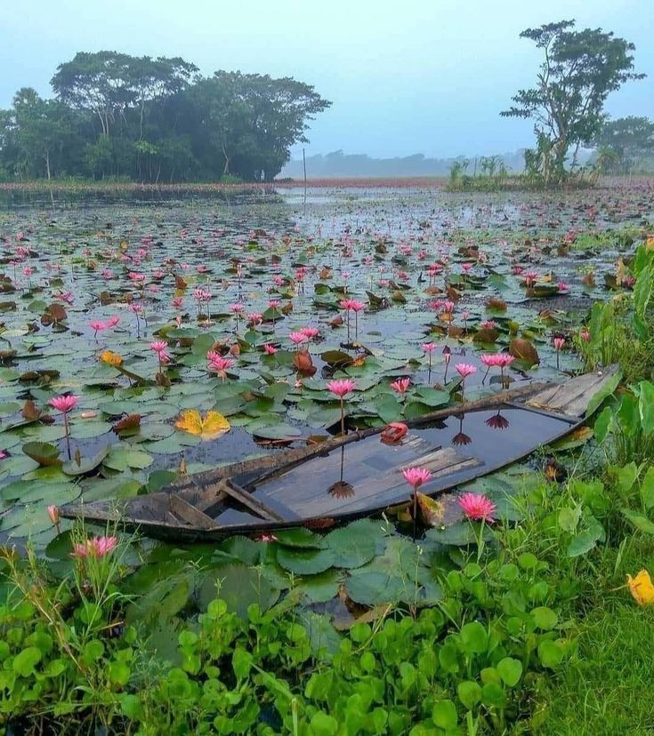 বাংলাদেশ 💔
#earth