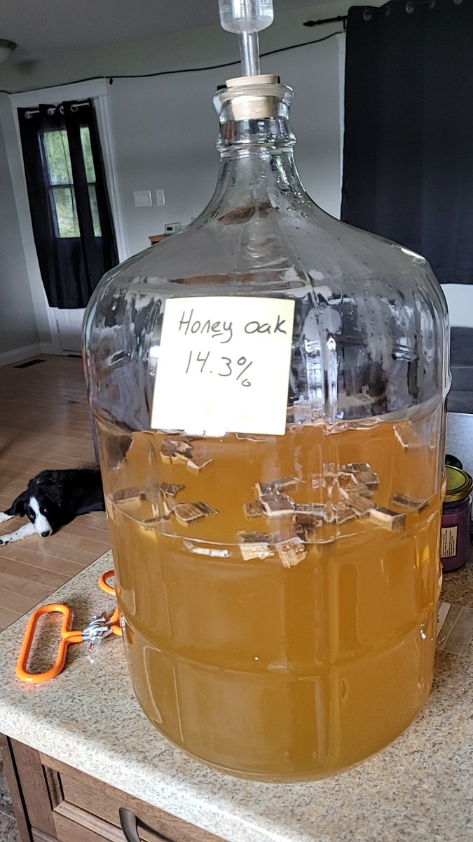 ElementalFriend's tweet image. Honey oak is now aging, got another carboy to rack after this one