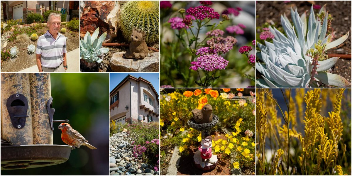 Water Conservation Garden tweet media