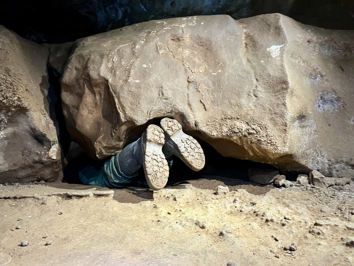 Romain Lescurieux (@rlescurieux) on Twitter photo Le village de Trassanel dans l’Aude compte 30 habitants et 35 grottes. Une a servi de refuge à des maquisards durant la Seconde Guerre mondiale, une autre a abrité des ours des cavernes pendant l’ère glaciaire. Récit d’une virée spéléologique nouvelobs.com/voyage/2024072… <a href="/Le_NouvelObs/">Le Nouvel Obs</a> Le village de Trassanel dans l’Aude compte 30 habitants et 35 grottes. Une a servi de refuge à des maquisards durant la Seconde Guerre mondiale, une autre a abrité des ours des cavernes pendant l’ère glaciaire. Récit d’une virée spéléologique nouvelobs.com/voyage/2024072… <a href="/Le_NouvelObs/">Le Nouvel Obs</a>