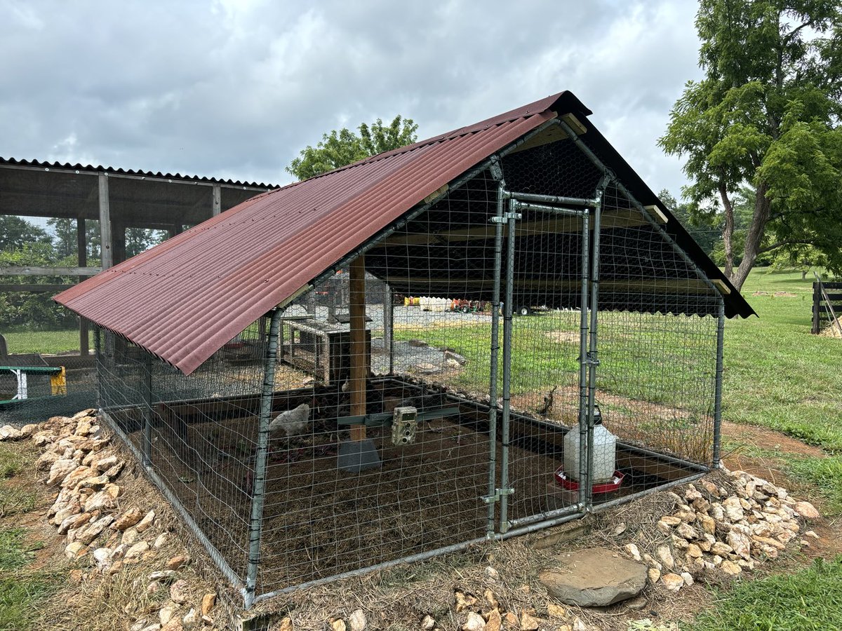 1610captain's tweet photo. Lynn’s chickens are quite happy with their new roof, which will give them some shade from the hot sun and high temperatures we’ve been having lately. It’s always great to do a project with Lynn on the weekend  #lovefarmlife https://t.co/7QxEJqGBYH