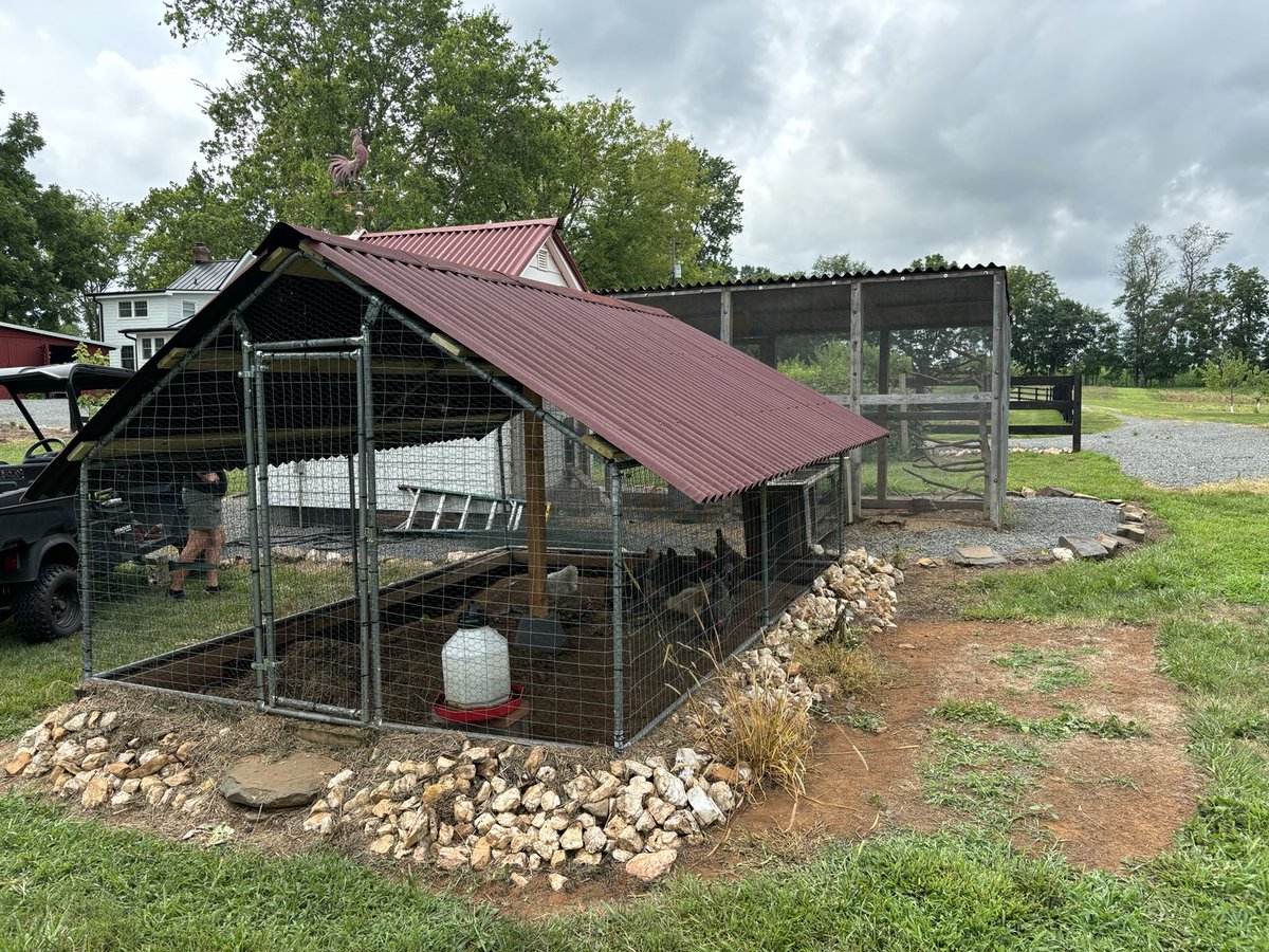 1610captain's tweet photo. Lynn’s chickens are quite happy with their new roof, which will give them some shade from the hot sun and high temperatures we’ve been having lately. It’s always great to do a project with Lynn on the weekend  #lovefarmlife https://t.co/7QxEJqGBYH