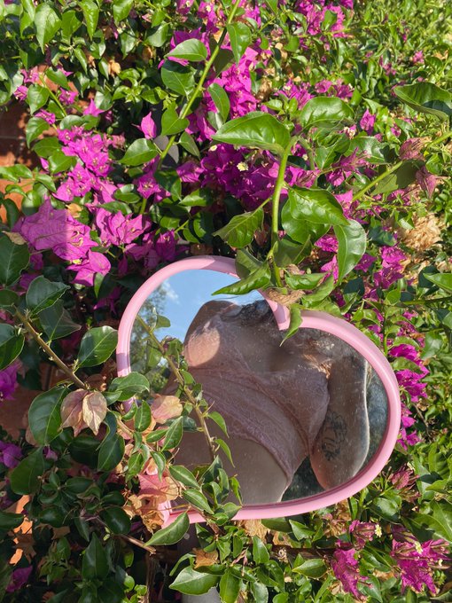 Летняя грусть✨ https://t.co/gua5MiJJrf