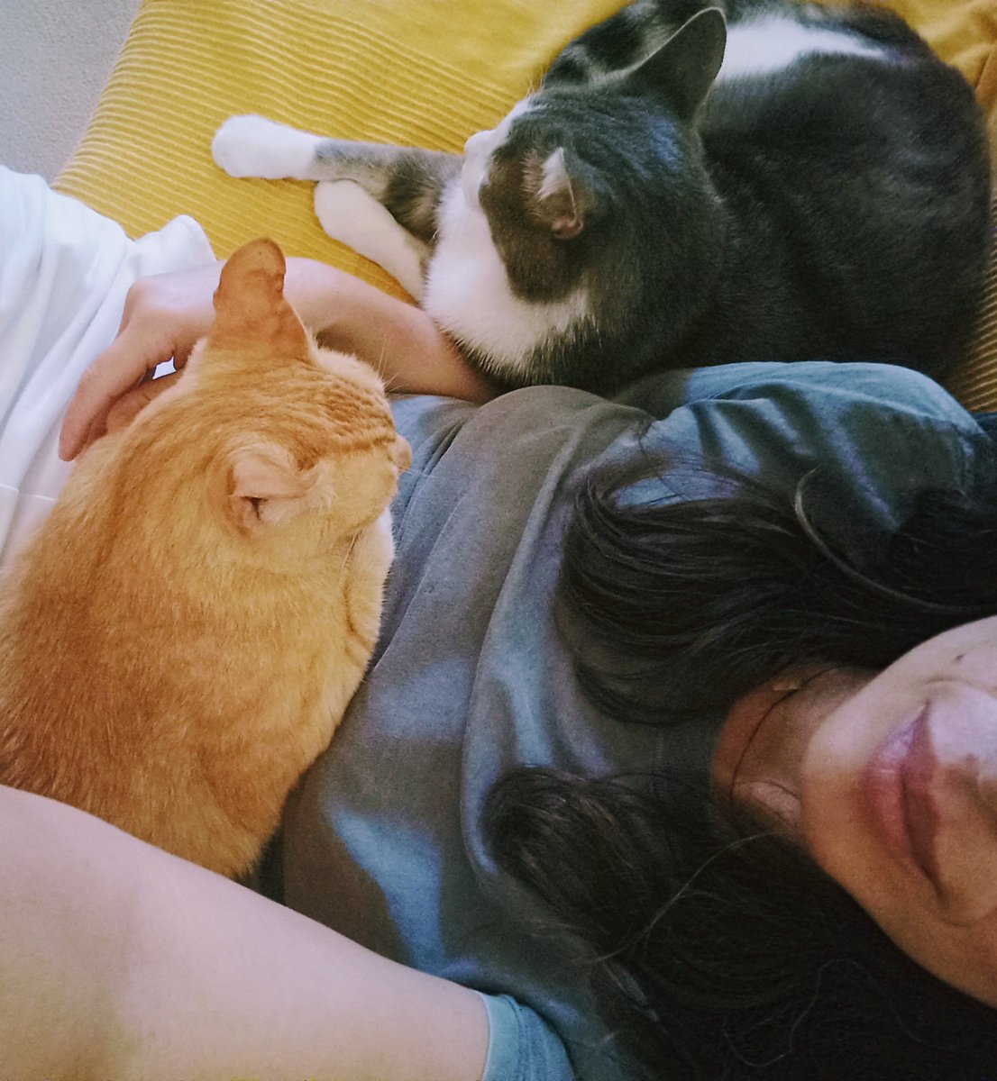 <a href="/Patgompic/">Patricia Gómez Picard</a> <a href="/DadaCero/">TaniaCerO/💙/#LaOtraVida091 se ha ido a bluesky 🦋</a> <a href="/anamarsu/">Ana S Guerra / ❤️</a> <a href="/EnfermeroEnred/">Pedro Soriano</a> <a href="/manyez/">Miguel Ángel Máñez</a> <a href="/bflasquetty/">Blanca Fdz-Lasquetty</a> <a href="/marejadae4/">Marian</a> <a href="/AngeMall/">Angélica Miguélez Chamorro</a> <a href="/AresFerLom/">Ares Fernández</a> @cvillafafila Ni per la calor ens deixen de cercar ♥️ #mascotastyle