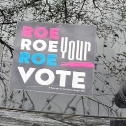 bdog_mom's tweet photo. I was picking up my groceries today and there was a middle age white man loading them in my car. I could see that he was reading my stickers and did not expect him to say he loved this one. #CodifyAbortionRights https://t.co/5XRS7I82pd