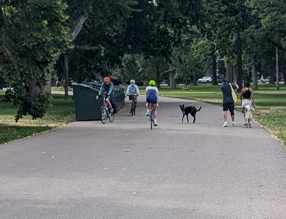 BryanByBike's tweet photo. It's difficult to catch these near collisions in a photo...
When I report these issues to #311Denver, I get responses that I feel are dismissive.
@jolonclark needs to address these concerns or be replaced as @denverparksrec Director with someone who will.
#VisionZero https://t.co/69VIBWjmLa