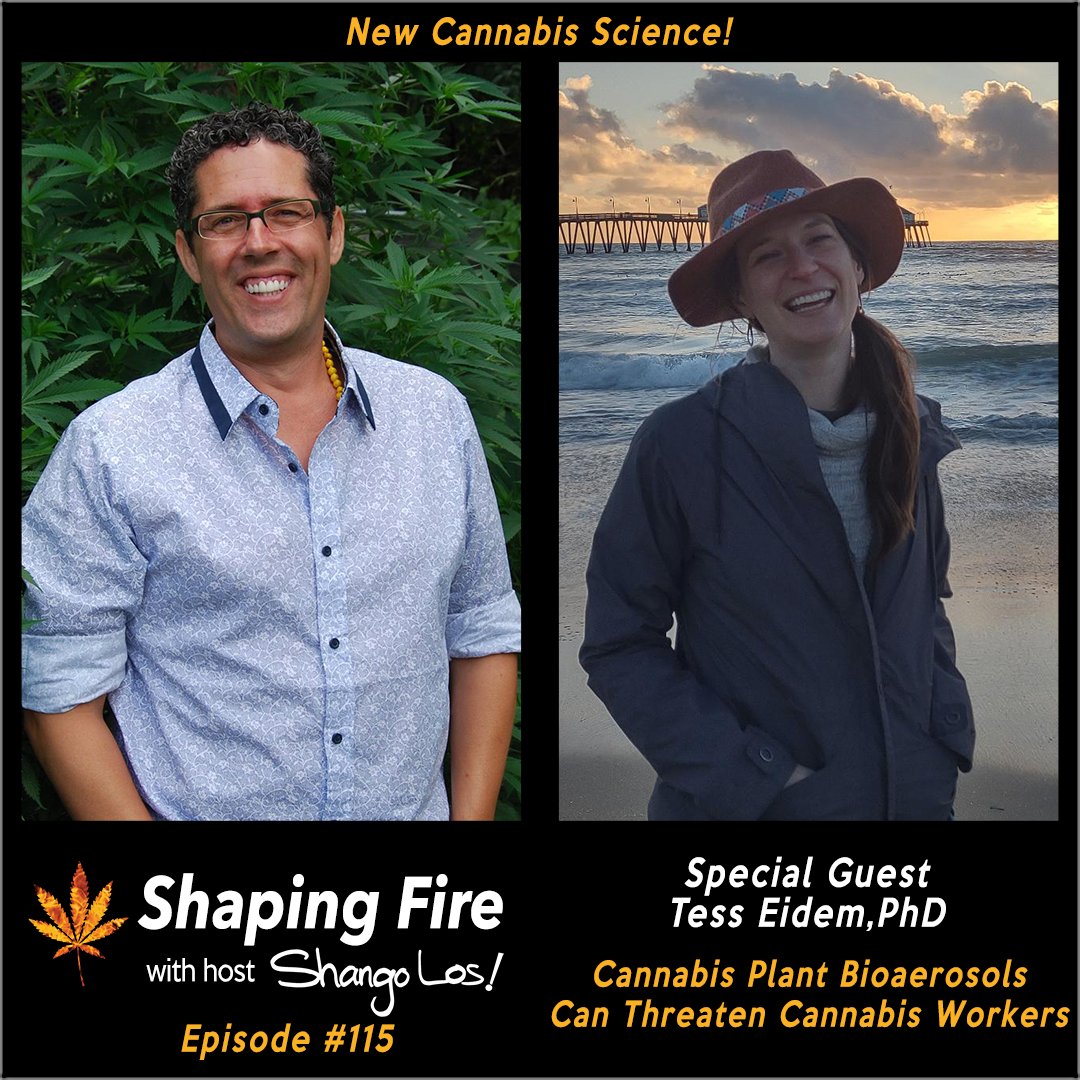 ShapingFire's tweet image. Shango Los talks with @TessEidem PhD about the new science regarding fungal, bacterial, and viral bioaerosols that are produced in a cultivation environment, their impact on human health, and what we can do to make cannabis working environments safer. ShapingFire.com