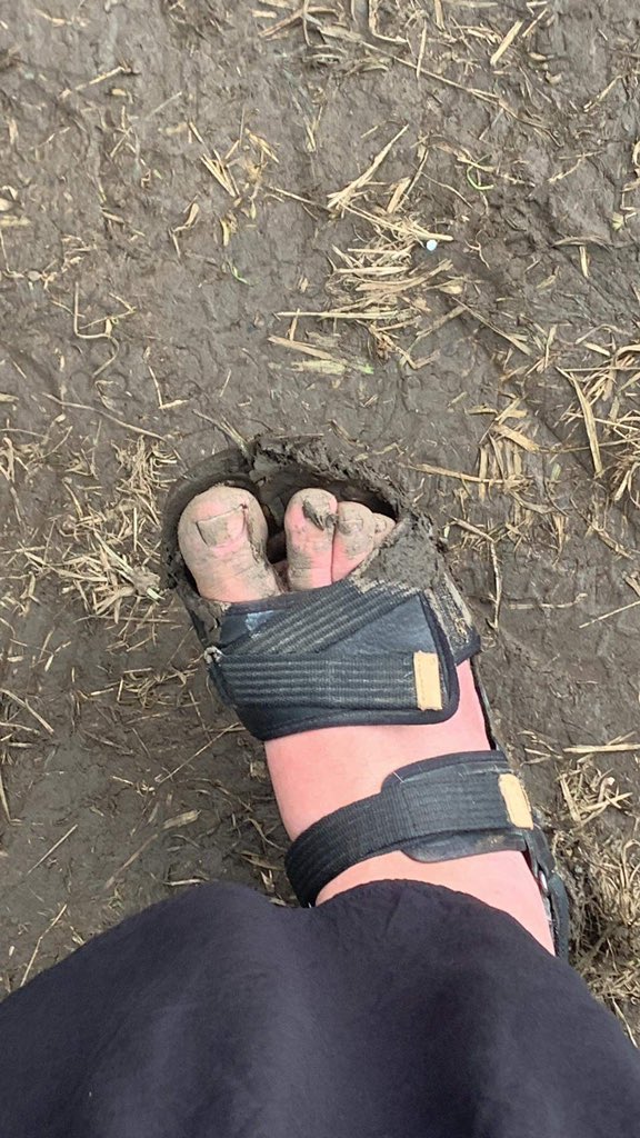 It’s only a small one day festival and it hasn’t rained. It will be fine.