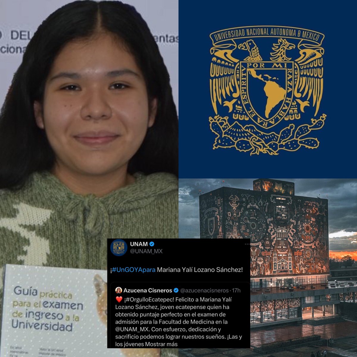 Cerebros tweet media