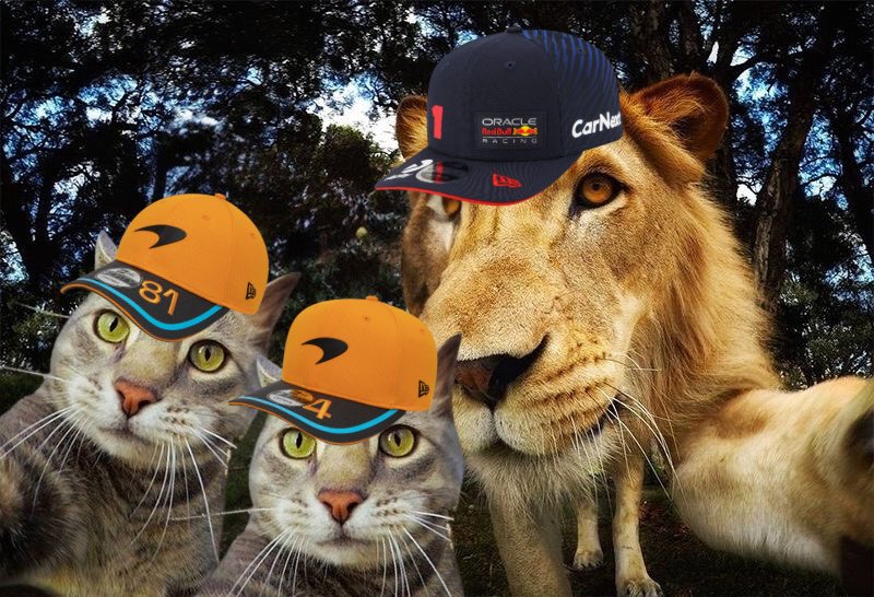 landowhiskers's tweet photo. literally them https://t.co/1sZMKIUR9a