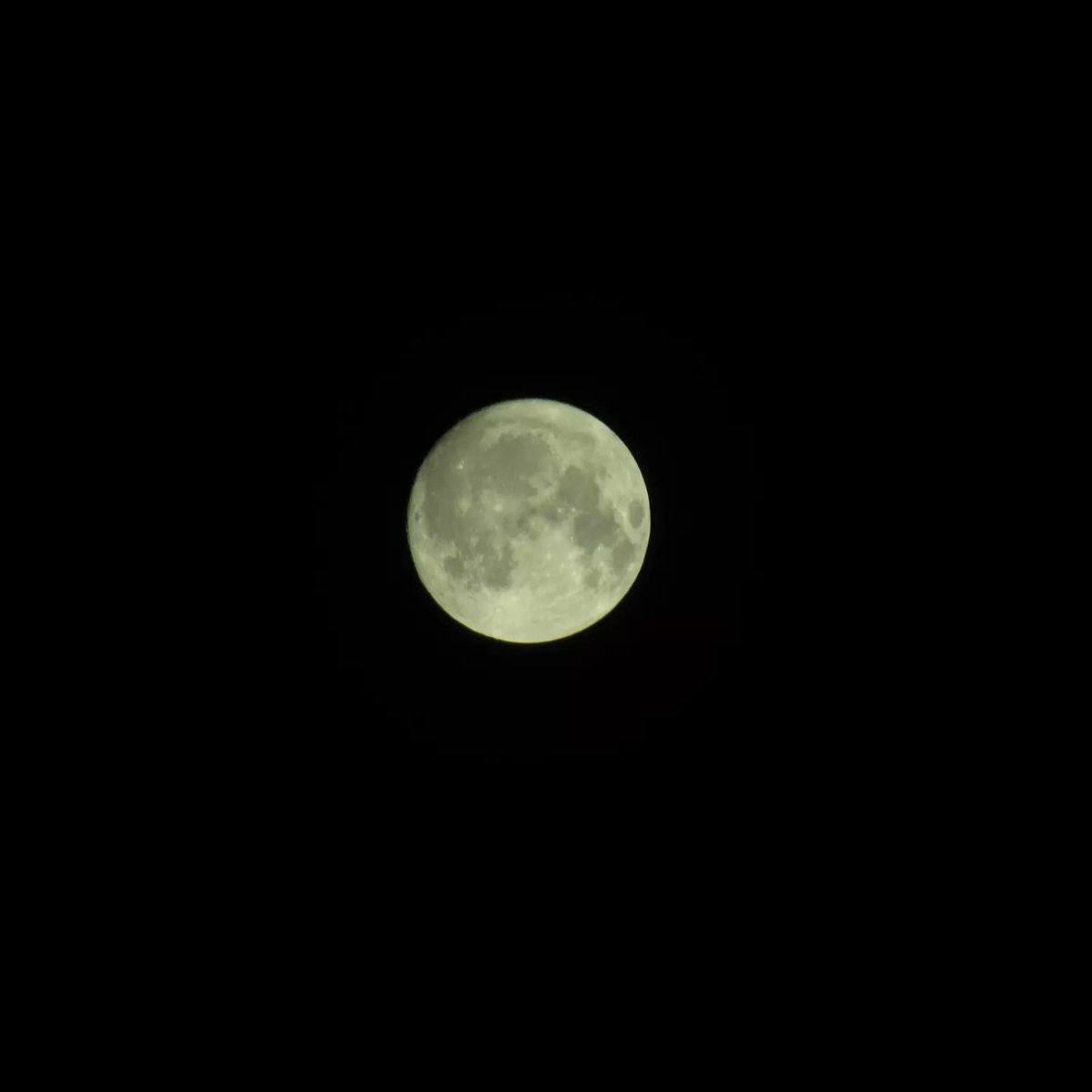 nickshormonsha_'s tweet photo. 14번째 달을 포착했다.
#달 #moon #Mond #Луна #місяць #lune #月亮 #月 #lua #चन्द्र #φεγγάρι #luna #거의보름달 #ほぼ満月 #几乎满月 #nearlyfullmoon #almostfullmoon https://t.co/EbnS1vPlfb