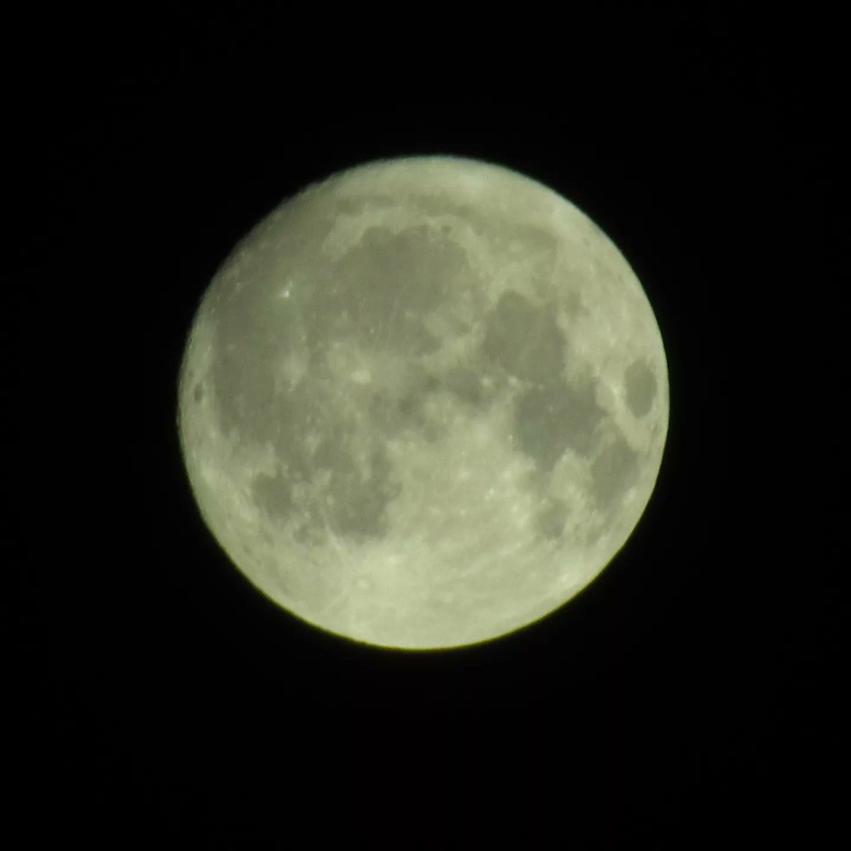 nickshormonsha_'s tweet photo. 14번째 달을 포착했다.
#달 #moon #Mond #Луна #місяць #lune #月亮 #月 #lua #चन्द्र #φεγγάρι #luna #거의보름달 #ほぼ満月 #几乎满月 #nearlyfullmoon #almostfullmoon https://t.co/EbnS1vPlfb