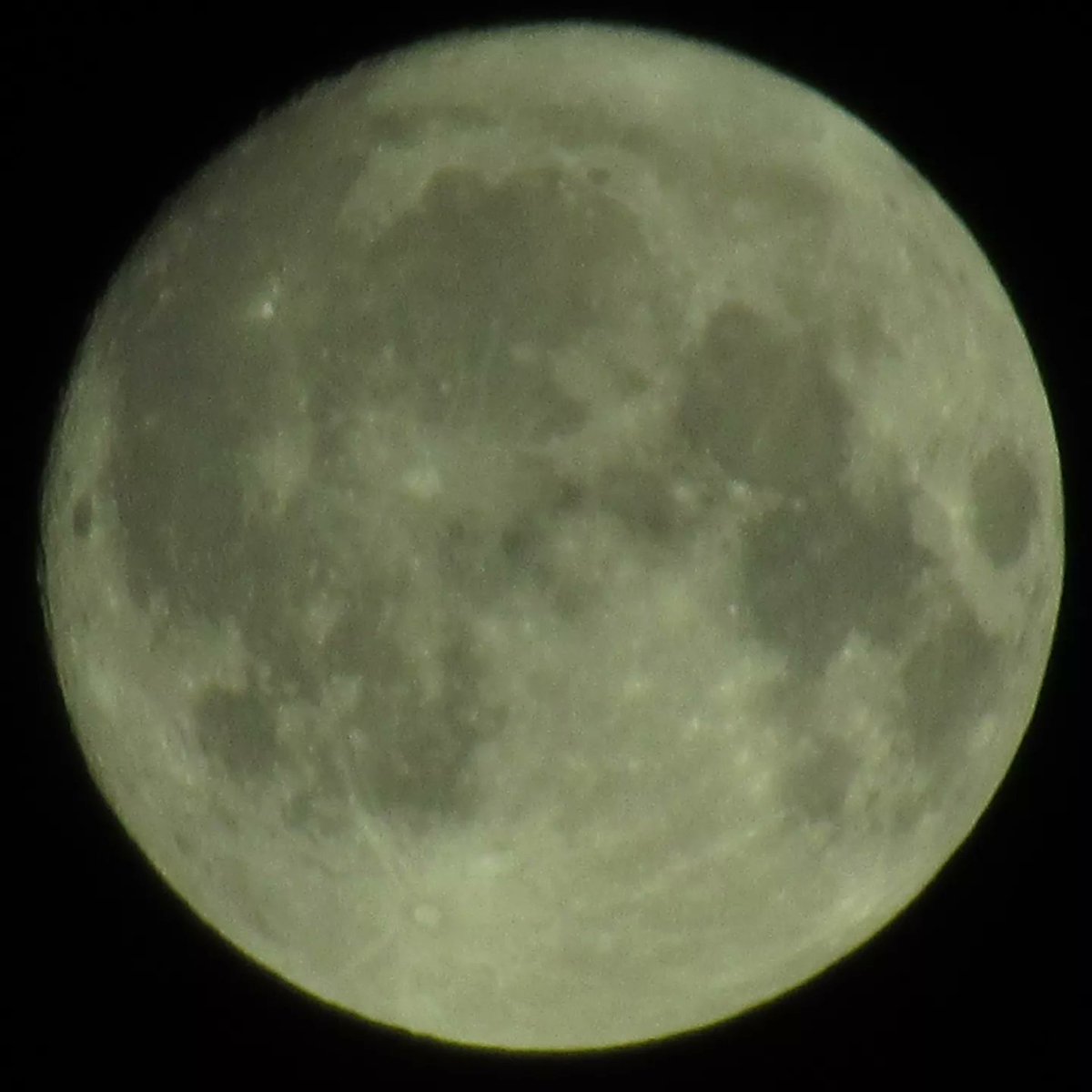 nickshormonsha_'s tweet photo. 14번째 달을 포착했다.
#달 #moon #Mond #Луна #місяць #lune #月亮 #月 #lua #चन्द्र #φεγγάρι #luna #거의보름달 #ほぼ満月 #几乎满月 #nearlyfullmoon #almostfullmoon https://t.co/EbnS1vPlfb