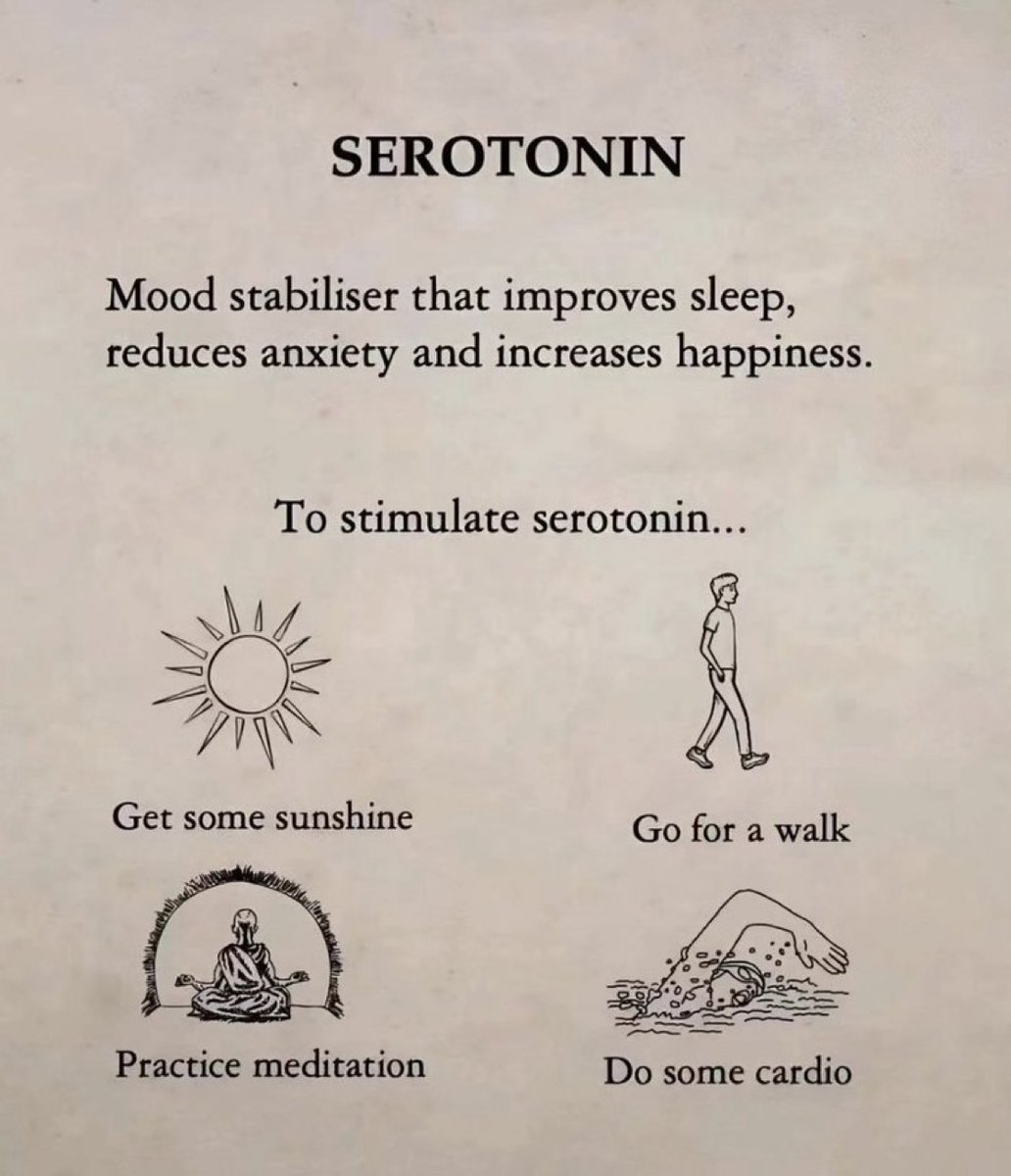 How to Hack Your 4 Happy Hormones. 

1. Serotonin
