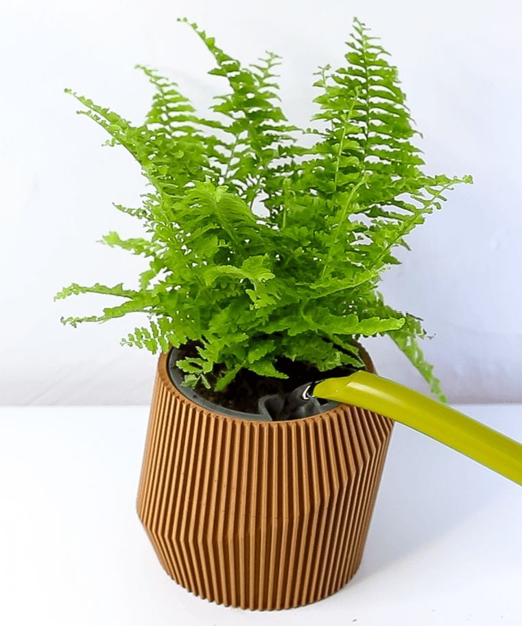 tracklight_pd's tweet photo. Introducing the newest addition to my collection, the 'Self Watering Planter - Wave'. Check it out for a hassle-free gardening experience: [https://t.co/q74Me3citq](https://t.co/2aKYFmDlCz% https://t.co/FHiZDCU2AG