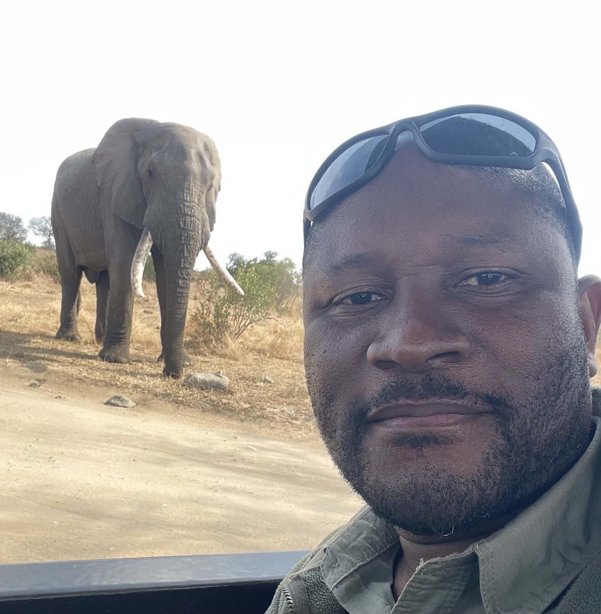 EdwardthembaSa's tweet photo. A selfie with the Gentle Giant.👌🏾👌🏾
#Myoffice
📍KNP https://t.co/qadUfX6diD