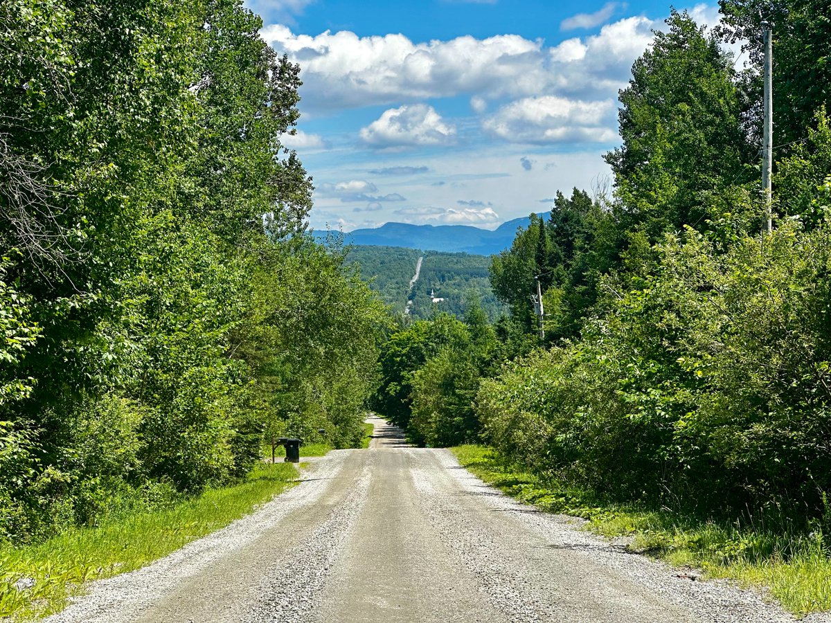 christopher mitchell tweet media