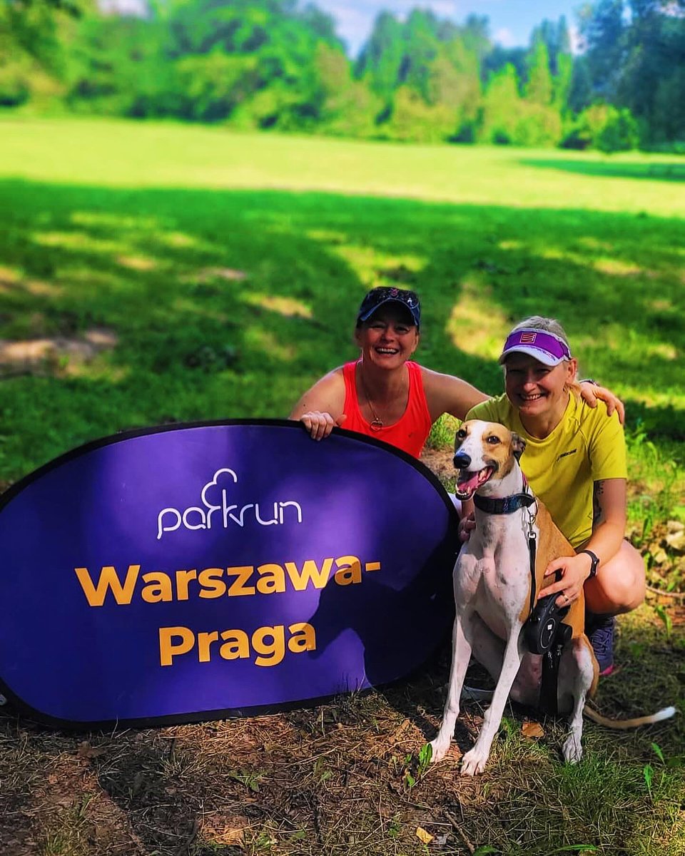 BornToBeIronman's tweet photo. Jak #sobota to wiadomo, że parkrun 🏃‍♀️🌲🌳 ale dziś z mocnym wsparciem charcicy Luny 🐕🥰 Pies zaprogramowany na bieganie 😉💪
#bieganie #parkrun #warszawa #parkrunpolska https://t.co/Ro8L290AP0