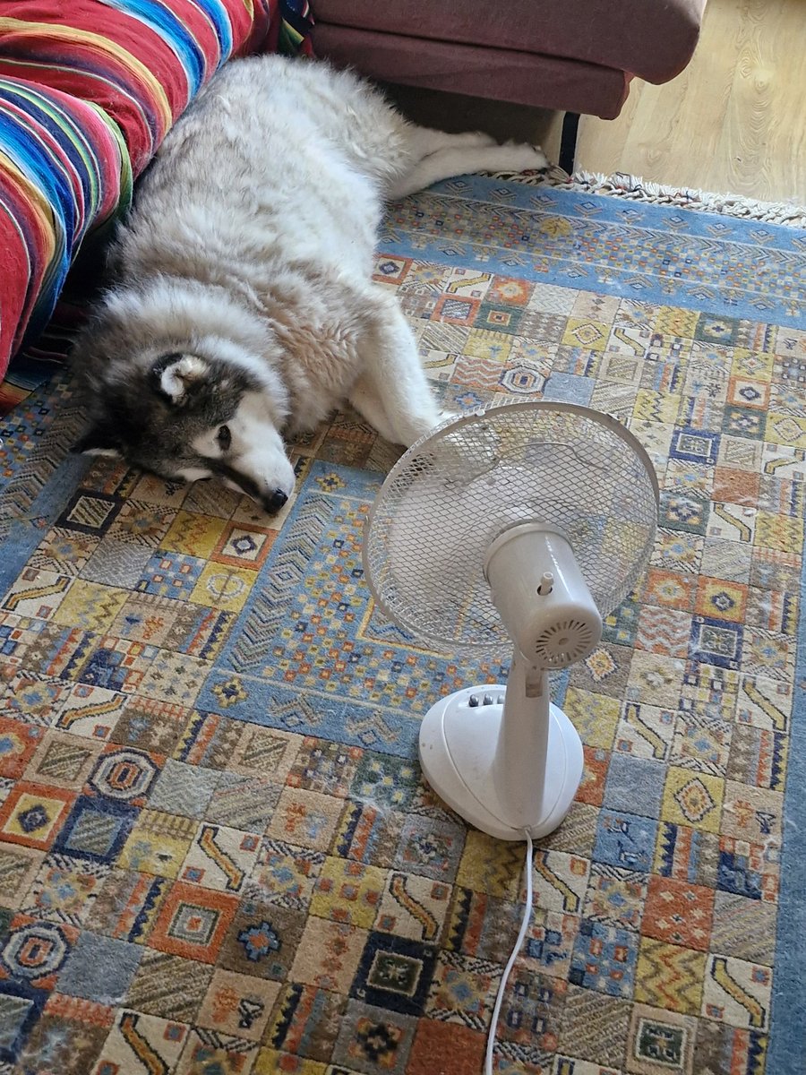 Matthew Shawkey tweet media