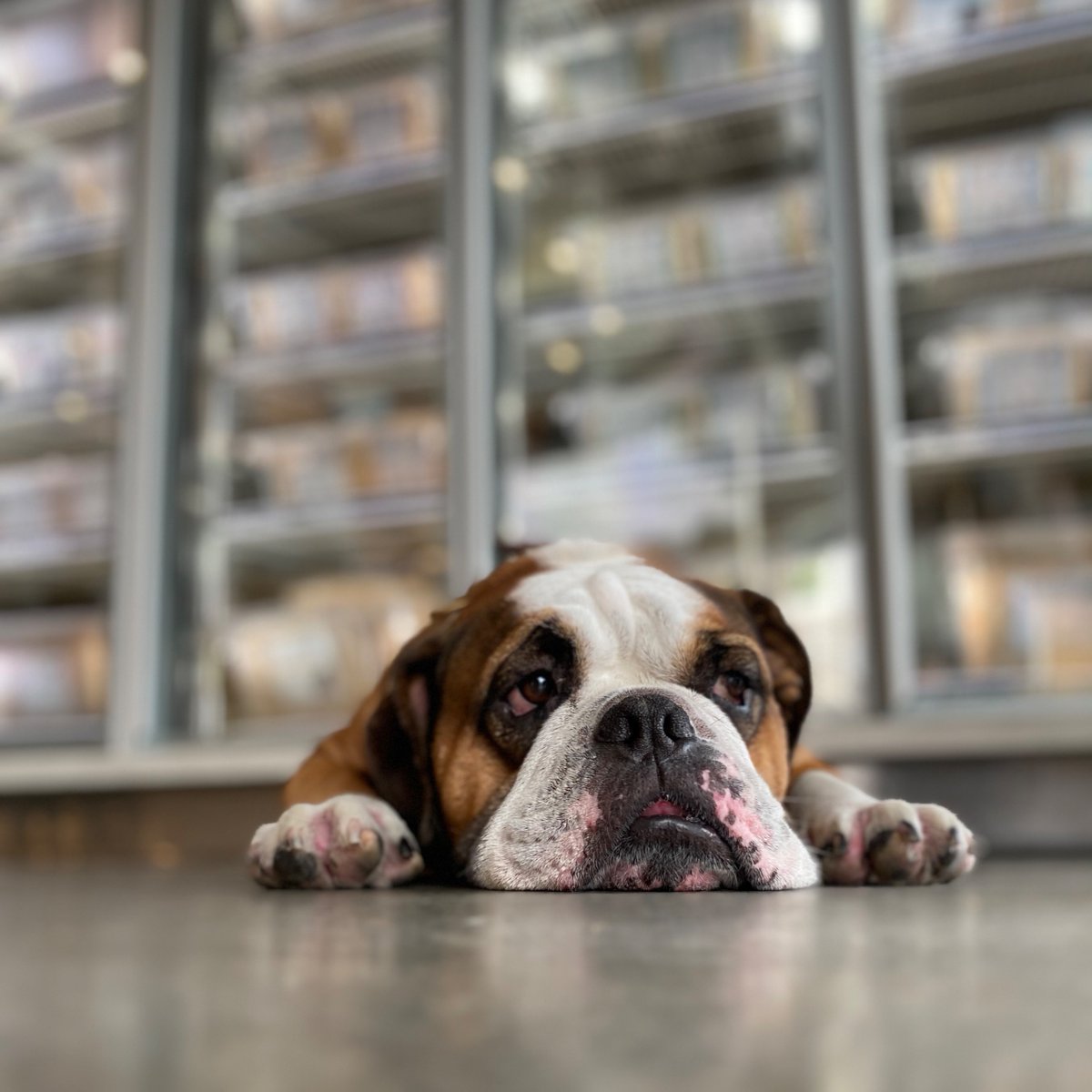 When your parents are taking too long to pick out your food.