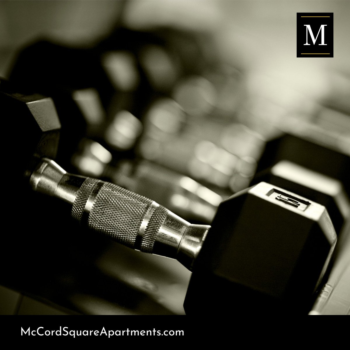 MccordSquareApt's tweet photo. Elevate your fitness routine at McCord Square's state-of-the-art fitness center! Enjoy top-notch equipment and a welcoming environment designed to help you achieve your health goals. 

#McCordSquare #McCordSquareAmenities #McCordsvilleIN https://t.co/GueHv1uSUQ