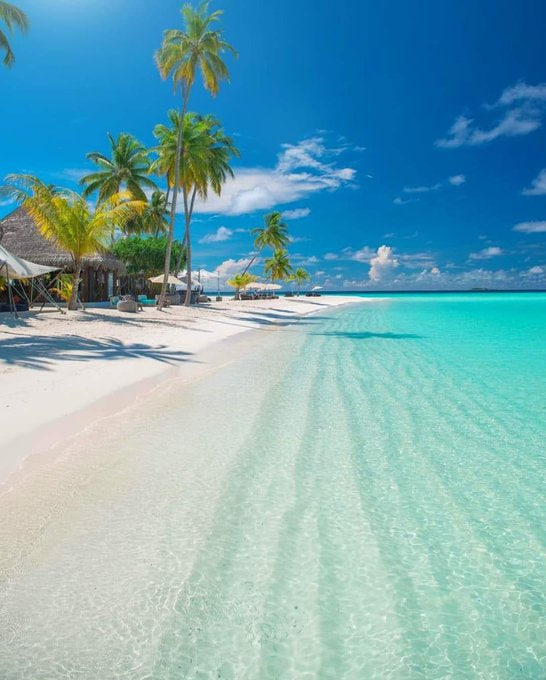 快乐男孩林东东 tweet media