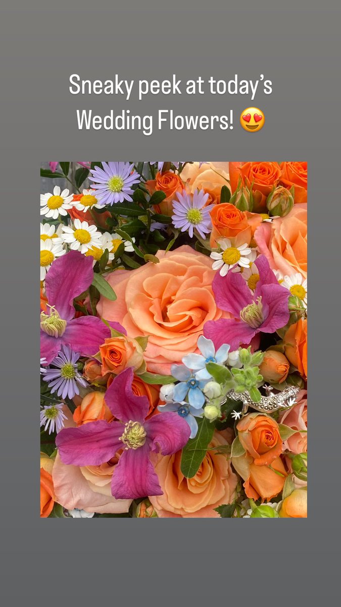 High Peak Flowers (@highpeakflowers) on Twitter photo 