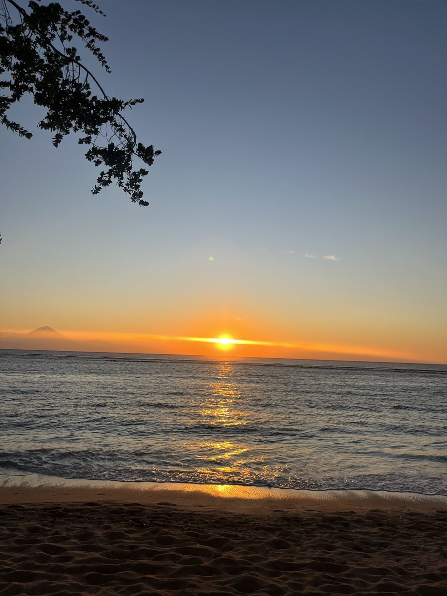 MissLeahPE tweet media