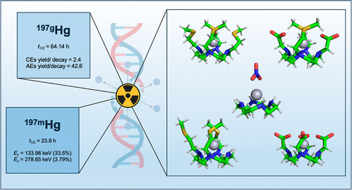 bhkenlo's tweet photo. Capturing Mercury-197m/g for Auger Electron Therapy and Cancer Theranostic with Sulfur-Containing Cyclen-Based Macrocycles | Inorganic Chemistry https://t.co/iNJB3lP38d Tosato and co-workers @InorgChem #mercury197m_g #AugerElectronTherapy #cancer #theranostic #cyclen #sulfur https://t.co/wpqfCN4Hap