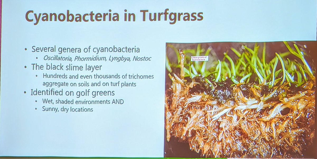 Richard Hurley, PhD tweet media