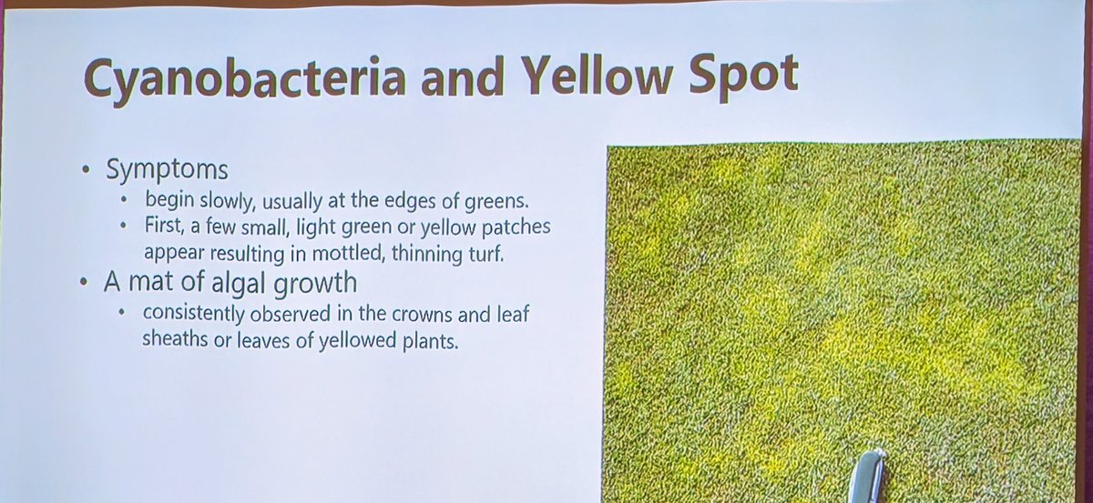 Richard Hurley, PhD tweet media