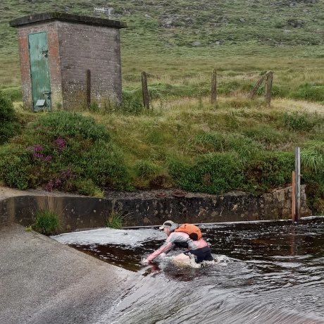 Steven morgan tweet media