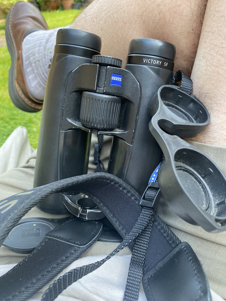 Thanks <a href="/ZEISSBirding/">ZEISS Birding</a> for excellent customer service at <a href="/GlobalBirdfair/">Global Birdfair</a> Sweat-rotted strap replaced no questions asked. If only I could fit them as well as the last ones.