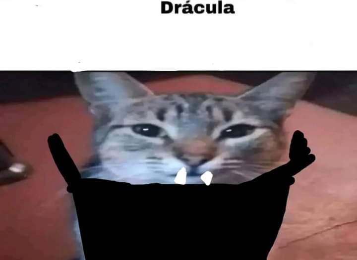 Candle3Xdddd's tweet photo. Yo mirando https://t.co/1C6MscZcAT