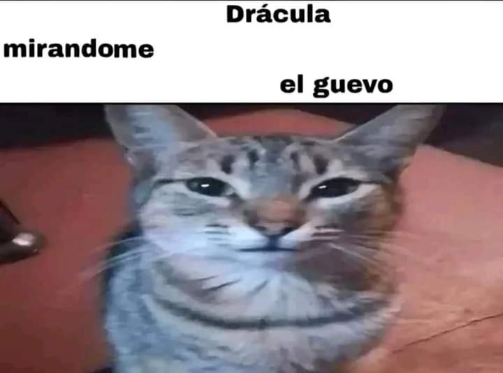 Candle3Xdddd's tweet photo. Yo mirando https://t.co/1C6MscZcAT
