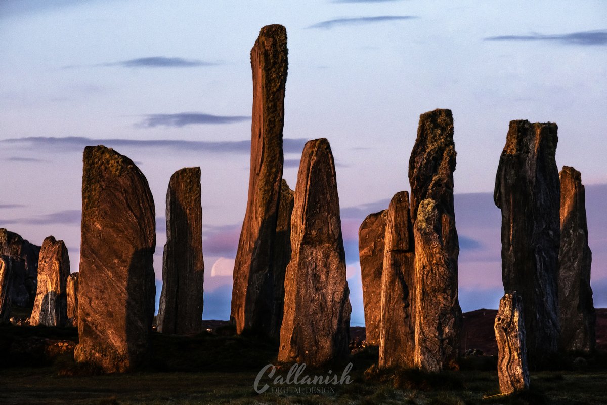 CallanishDigitalDesign tweet media