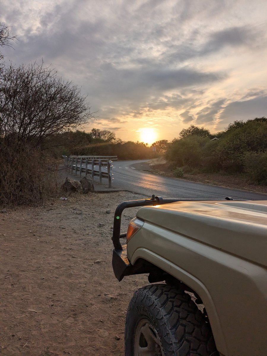 d1i2s3k4's tweet photo. サファリ1日目の夕陽。ゾウさんパークだったなぁ #Tanzania #safari #tarangire https://t.co/X3Xpbc1F1o