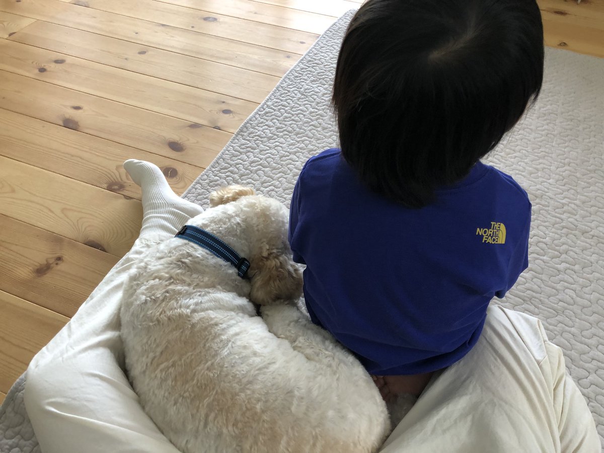shijimi_P's tweet photo. ぜったいに相席してくれるペロちあん https://t.co/Pwt29kWXE7