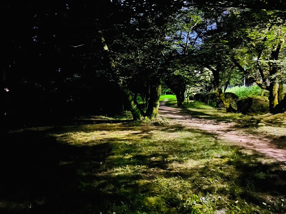 www_fm_com's tweet photo. 【ひろしま星空シアター】
野外映画上映、本日より始動しました。

ひろしま星空シアターとして、
第1回目の上映作品は「エール！」

"耳の聞こえない家族の中で、唯一聞こえる少女には歌の才能があったのだが--" https://t.co/kDPSDb5sIZ