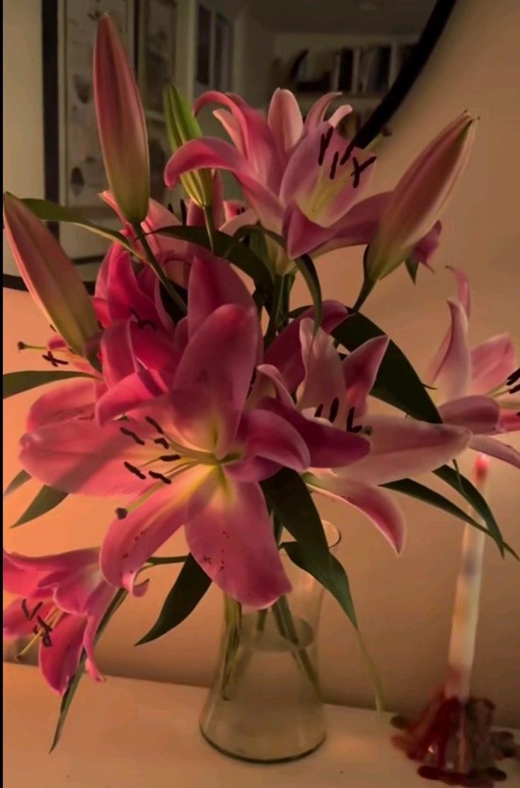 ll1llls3's tweet photo. Lilies🌷 https://t.co/Og3hBBNKC6