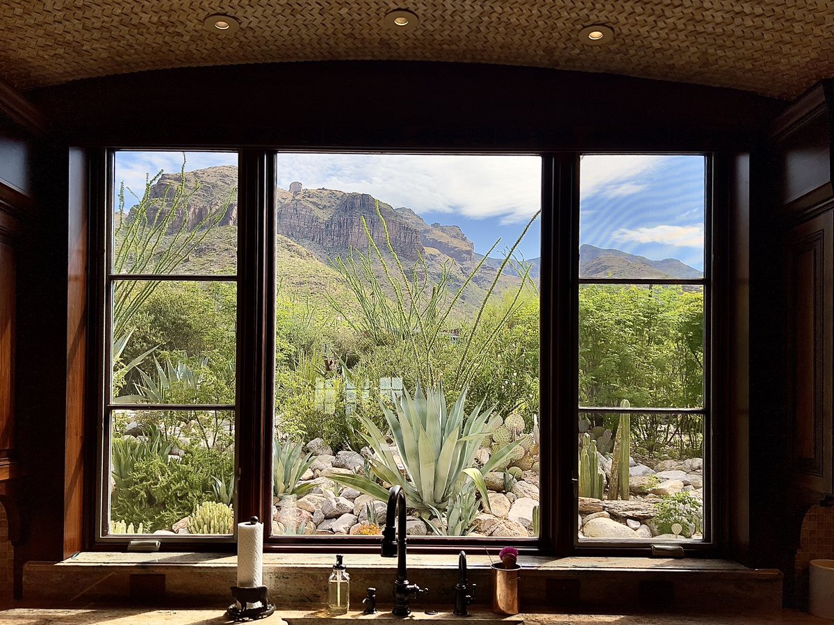 It is wild how green the mountain is after just three monsoon storms with measurable rainfall.  What a gorgeous Saturday!