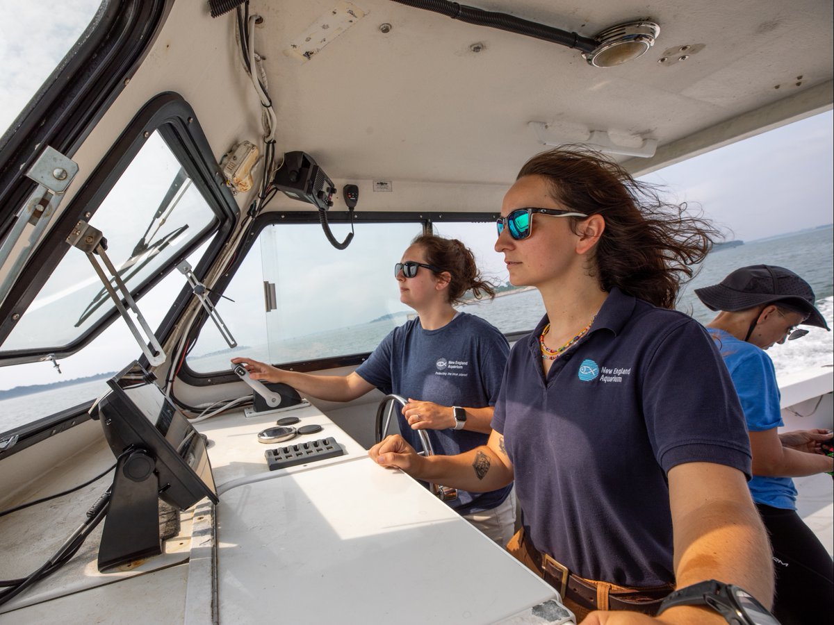 NEAQ's tweet photo. Fact: women make up less than 40% of all recreational scuba certifications, but make up 67% of our Aquarium divers!🤿💜

We are proud to have many female divers working all around the Aquarium—including our #AndersonCabotCenter—AND an all-female dive safety team! #WomensDiveDay https://t.co/9gKwGJf6Hx