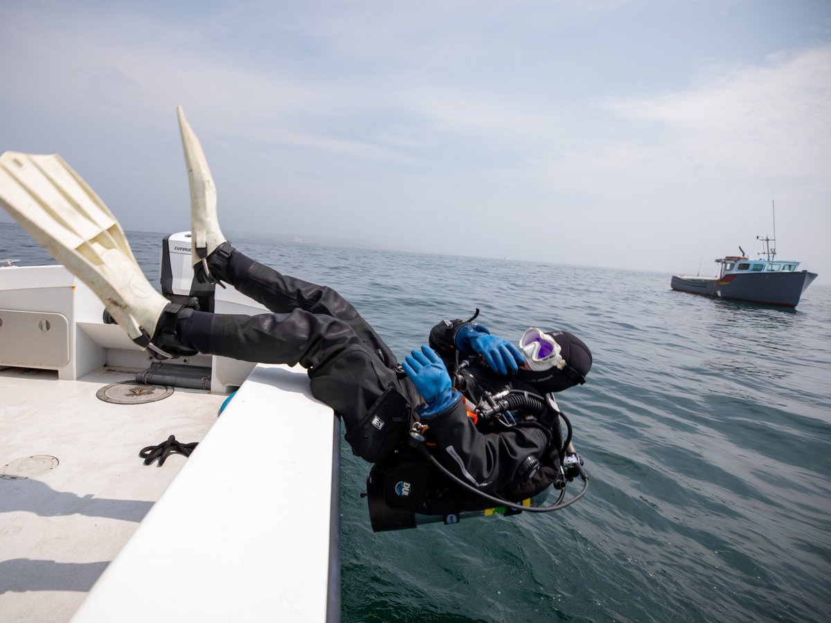 NEAQ's tweet photo. Fact: women make up less than 40% of all recreational scuba certifications, but make up 67% of our Aquarium divers!🤿💜

We are proud to have many female divers working all around the Aquarium—including our #AndersonCabotCenter—AND an all-female dive safety team! #WomensDiveDay https://t.co/9gKwGJf6Hx