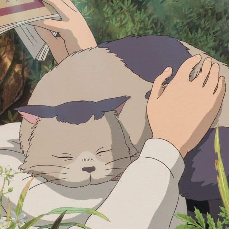 anime_'s tweet photo. Ghibli core  🌿 https://t.co/GW54DioKnI
