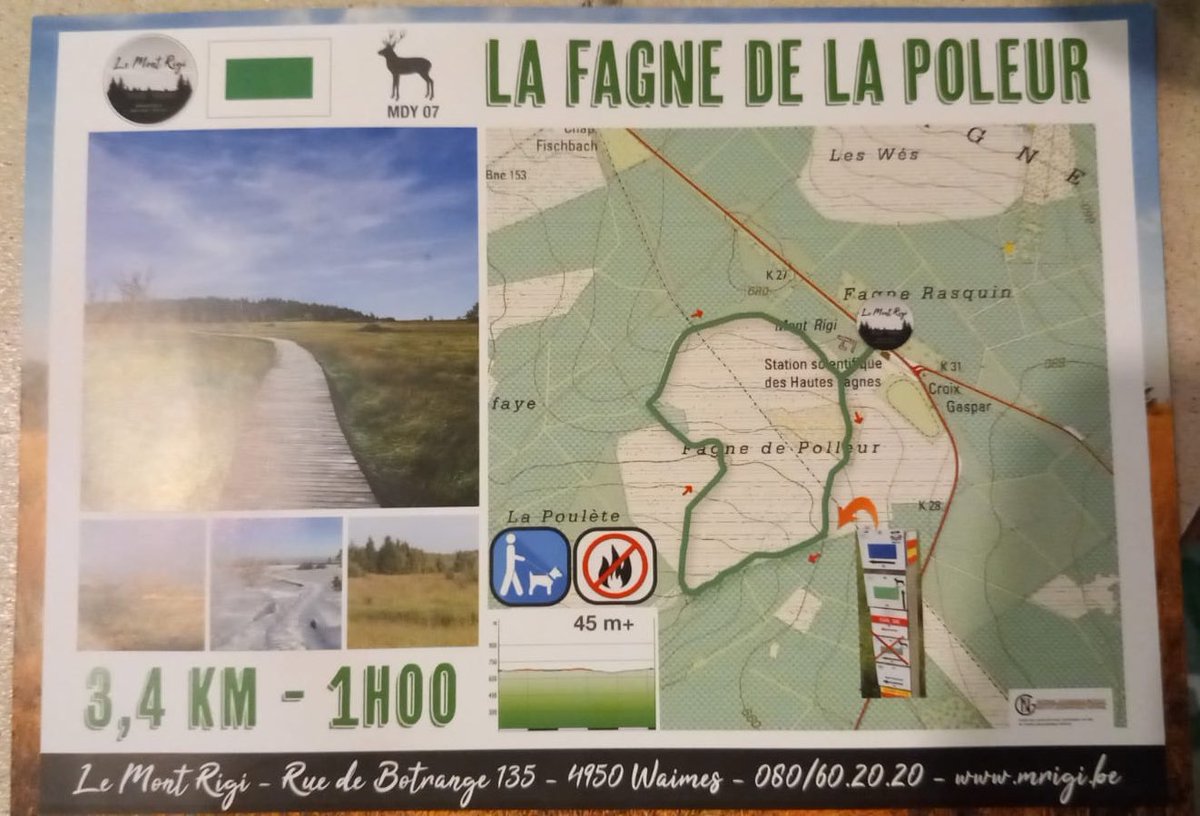 3gr3S_S3rg3's tweet photo. Dans la vie y a pas que la #BD.
Y’a les #fagnes et la nature, le signal de #Botrange et une longue promenade avec des amis.
Température 30 degrés mais un léger vent continu.
(Par contre les taons pénibles un peu comme les #bots #X) https://t.co/AFRW8dIhny